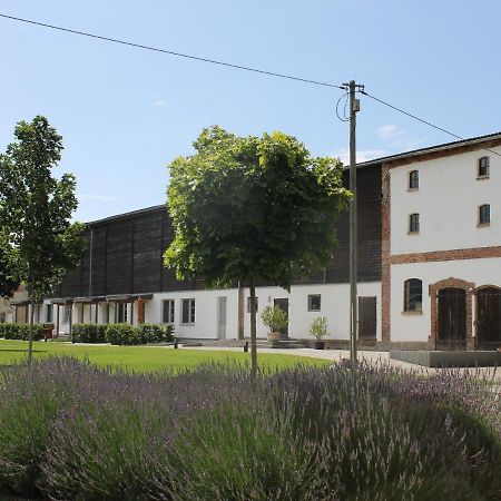ViereckGutshof Marienthalアパートメント エクステリア 写真